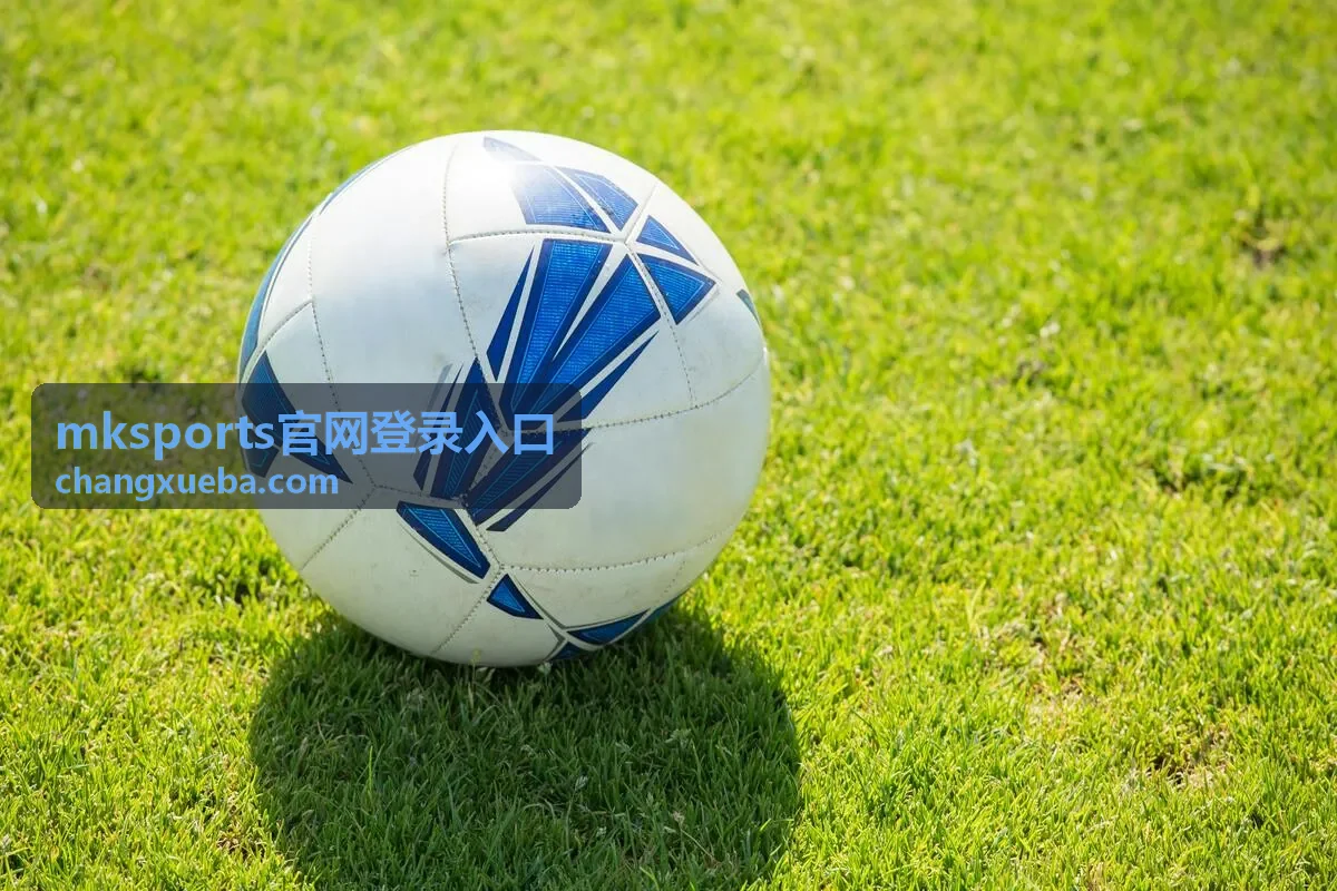 mksports官网登录入口 登录通道页面核对示意