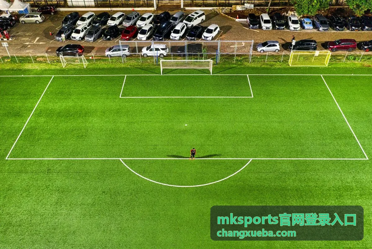 mksports官网登录入口通道说明配图