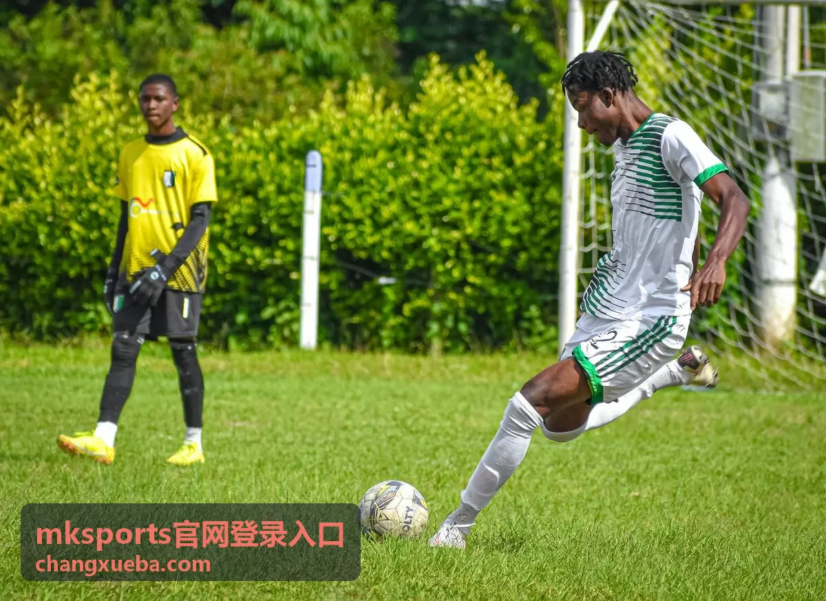 mksports官网登录入口账号安全说明封面