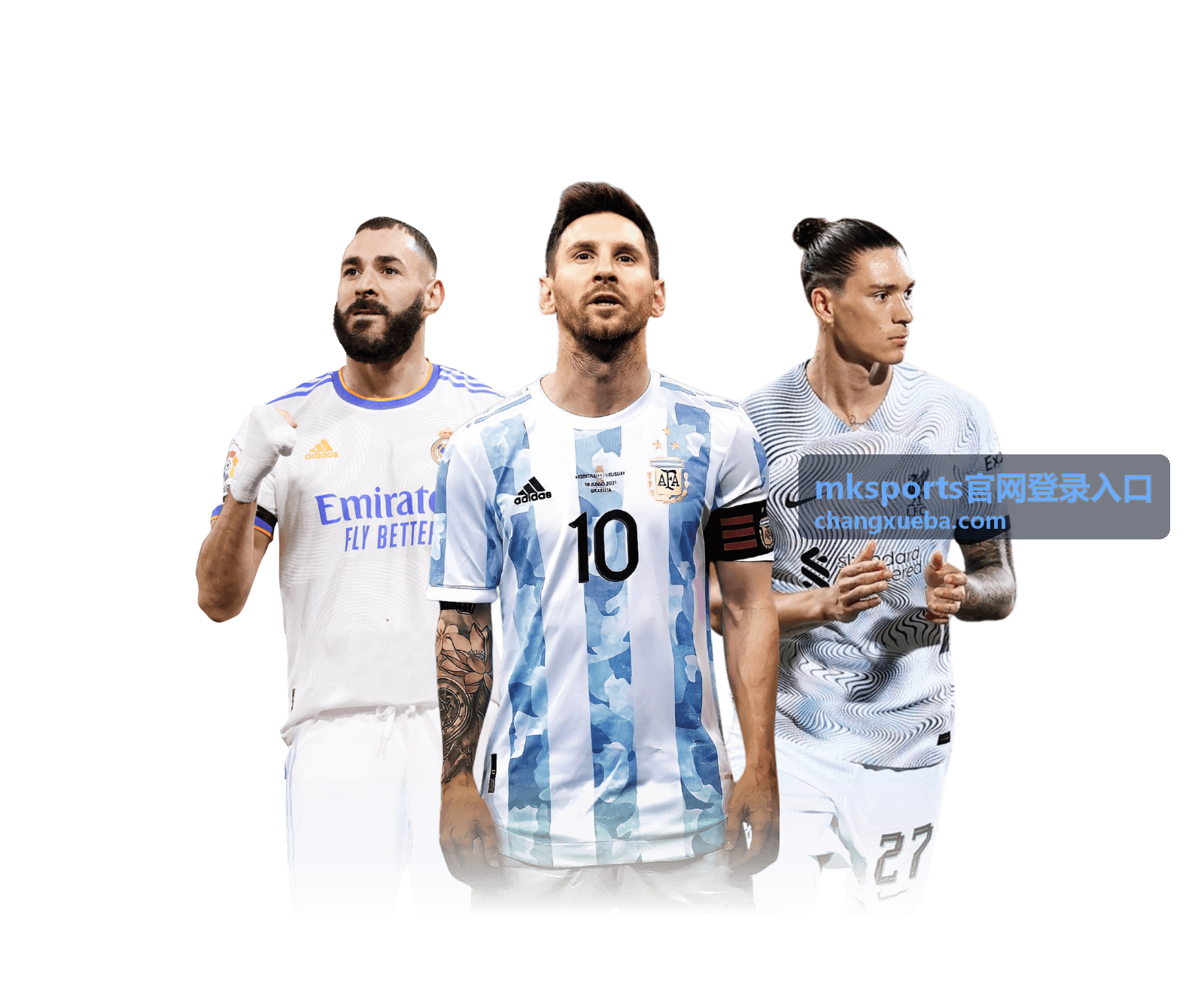 mksports官网登录入口多端通行说明封面