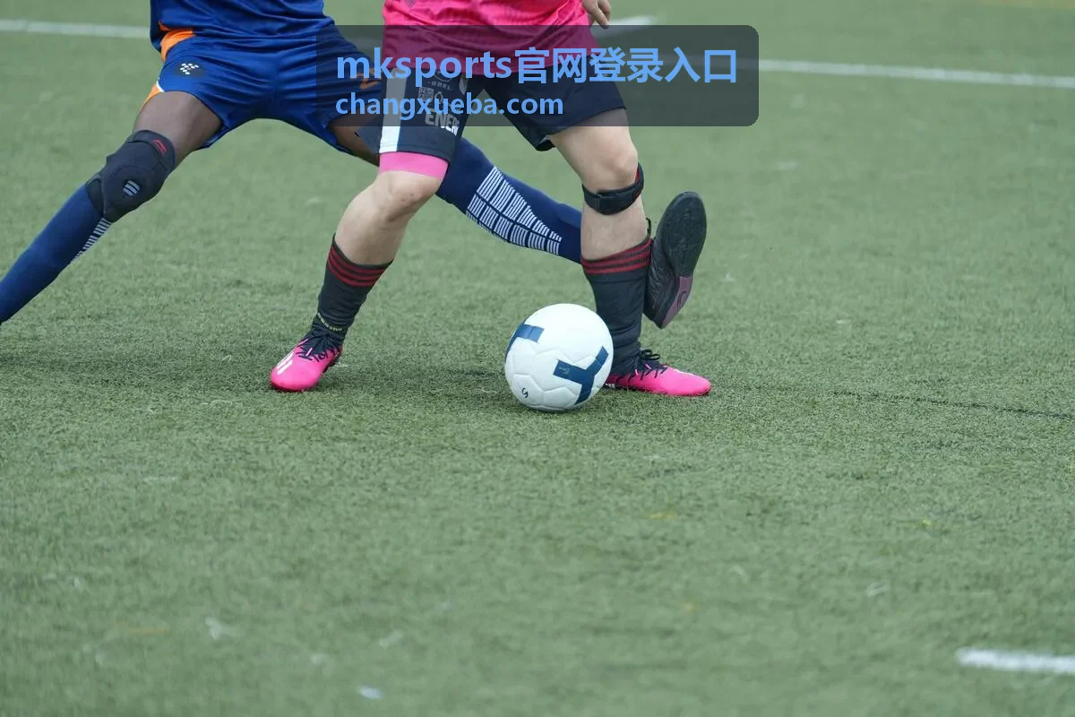 mksports官网登录入口多人同看场景说明